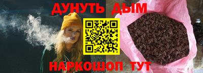 гашик Славгород