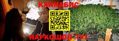 не бодяженный Сланцы