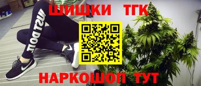 гашик Славгород