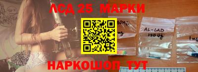 гашик Славгород
