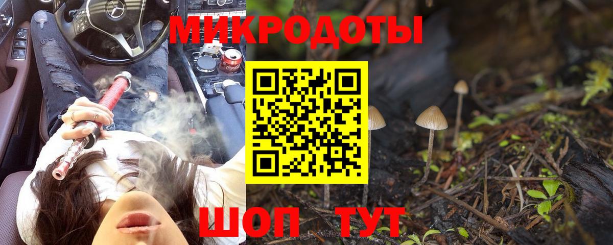 Обь  Галлюциногенные грибы мухоморы  Вход с VPN 